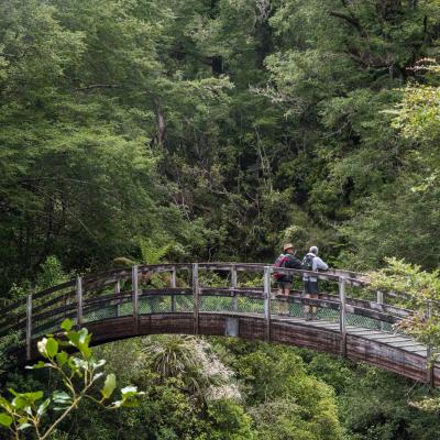 Manawatu Hike