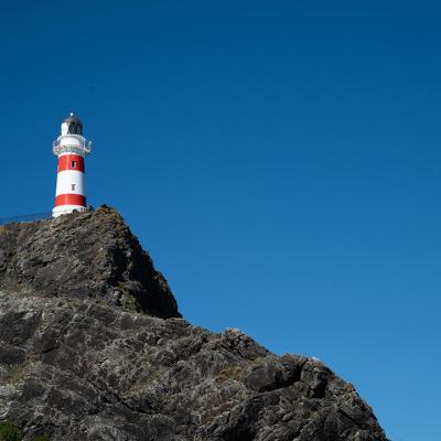 Capepalliser01