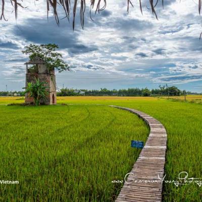 Hoi An Island
