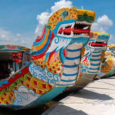Dragons Boats