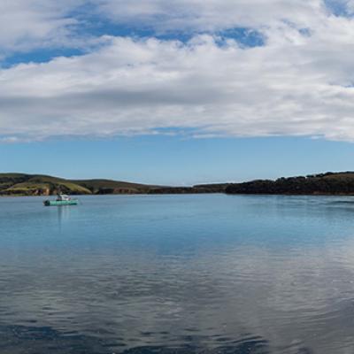 Catlins01
