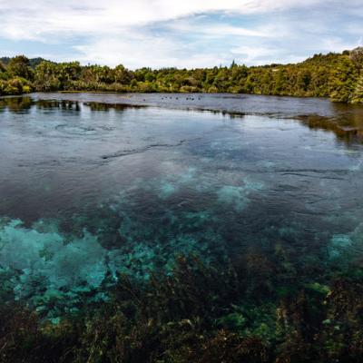 Te Waikoropupu Springs