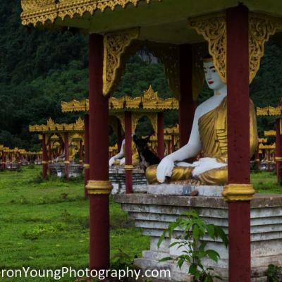 Buddha Park 3