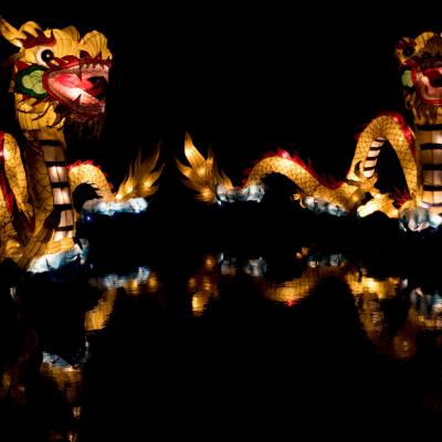 Auckland Lantern